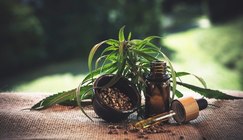 The Benefits of CBD Oil for Dogs